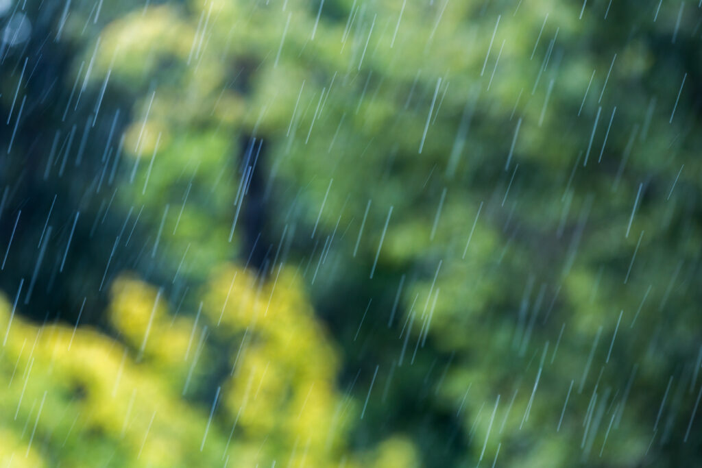 雨乞いの達人